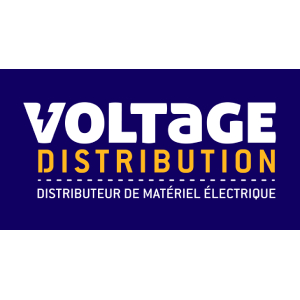 Voltage